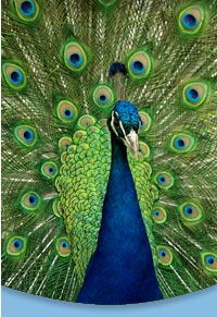 sidebar-portfolio-photo